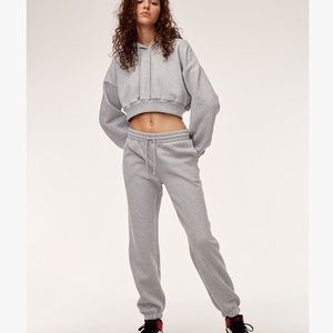 Aritzia Tna Boyfriend Sweatpants